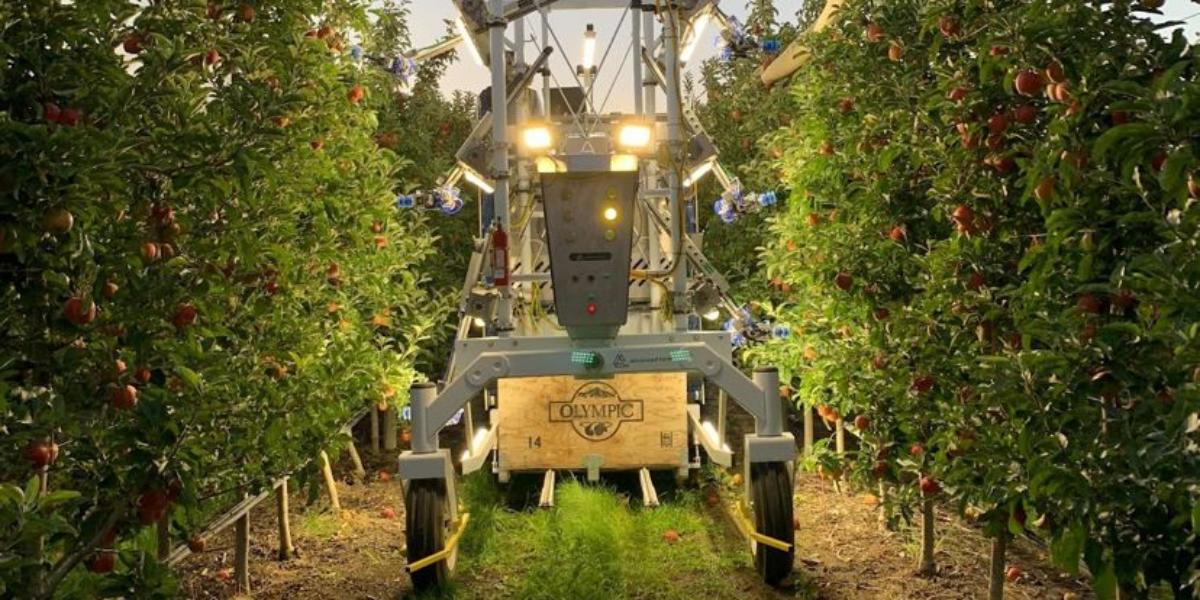 Robot per la raccolta, esperienze a confronto